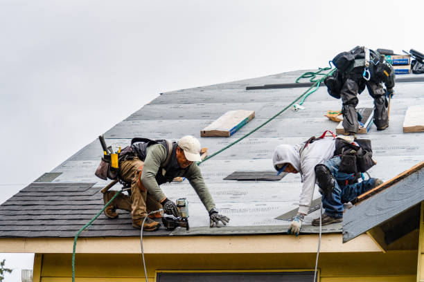 Professional Gutter Installation technician working in Trenton, KY
